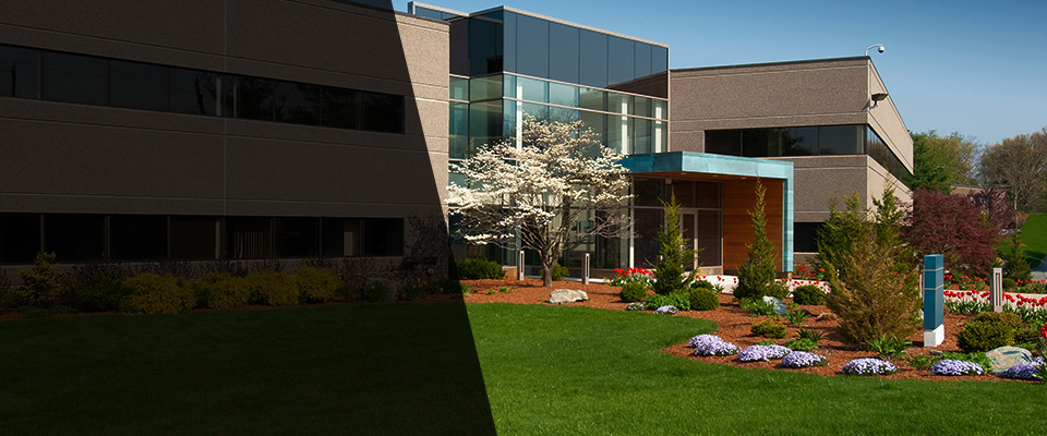 Cedar Landscapers