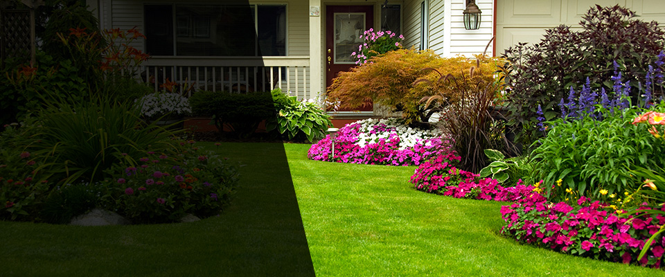 Cedar Landscapers
