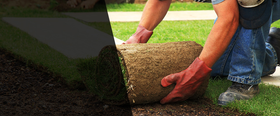 Cedar Landscapers